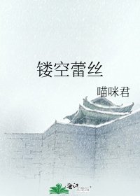 《镂空蕾丝》