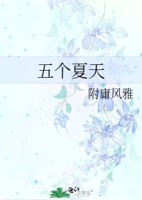 五个夏天