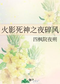 《火影死神之夜碎风》