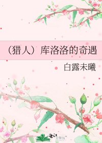 （猎人）库洛洛的奇遇