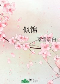 《似锦》