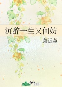 《沉醉一生又何妨》