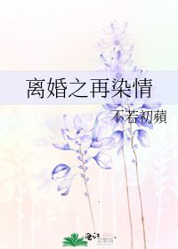 《离婚之再染情》