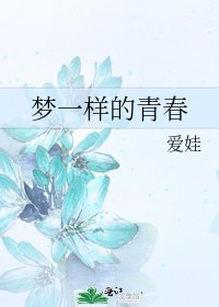 梦一样的青春