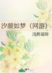 汐颜如梦(网游)