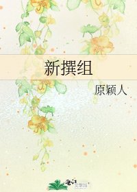 《新撰组》