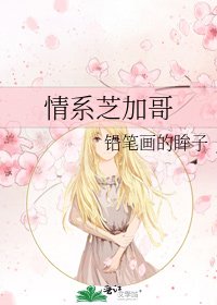 《情系芝加哥》
