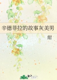 《辛德菲拉的故事灰美男》