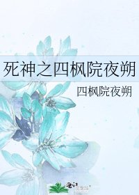 《死神之四枫院夜朔》
