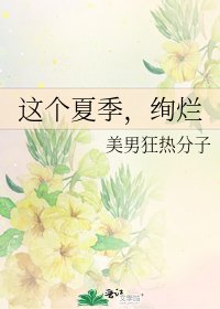 《这个夏季,绚烂》