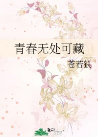 《青春无处可藏》