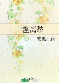 《一盏离愁》