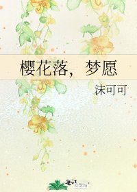 《樱花落,梦愿》