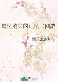 《追忆消失的记忆(网游)》