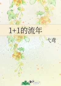 1+1的流年