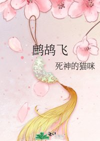 《鹧鸪飞》