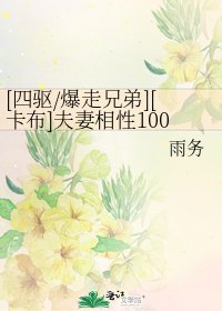 [四驱/爆走兄弟][卡布]夫妻相性100问