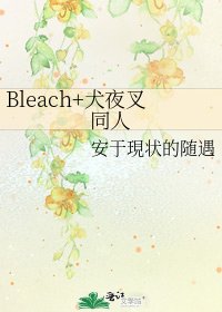 《Bleach+犬夜叉同人》