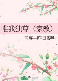 唯我独尊(家教)