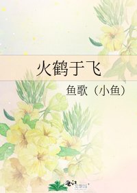 《火鹤于飞》