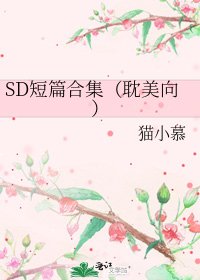 《SD短篇合集(耽美向)》