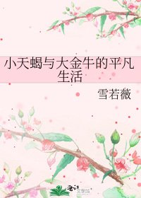 《小天蝎与大金牛的平凡生活》