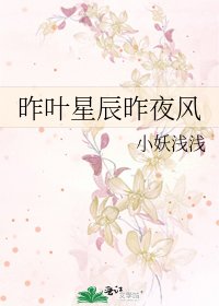 昨叶星辰昨夜风