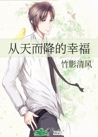 《从天而降的幸福》