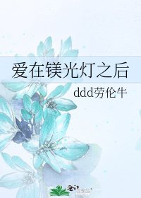 《爱在镁光灯之后》