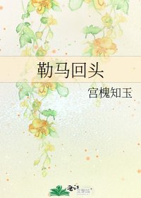 《勒马回头》