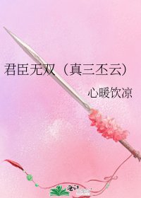 《君臣无双(真三丕云)》