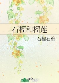 《石榴和榴莲》