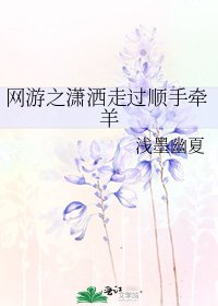 《网游之潇洒走过顺手牵羊》
