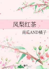 《凤梨红茶》