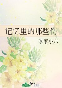 《记忆里的那些伤》