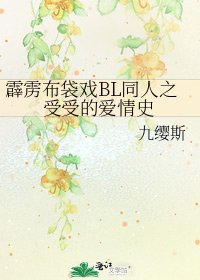 霹雳布袋戏BL同人之受受的爱情史