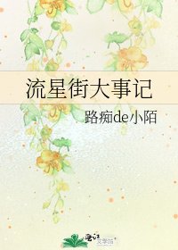 流星街大事记