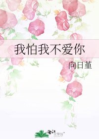 我怕我不爱你