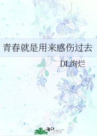 《青春就是用来感伤过去》