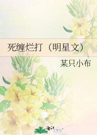《死缠烂打(明星文)》