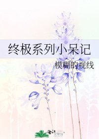 《终极系列小呆记》