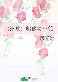 《(盗墓)麒麟与小狐》