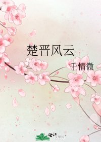 《楚晋风云》