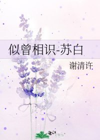 《似曾相识-苏白》
