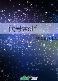 《代号wolf》