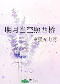明月当空照西桥