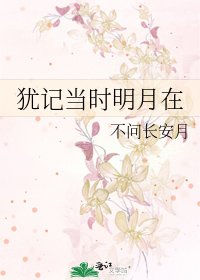 《犹记当时明月在》