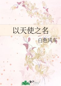 《以天使之名》