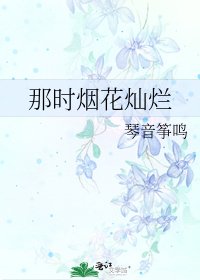 《那时烟花灿烂》