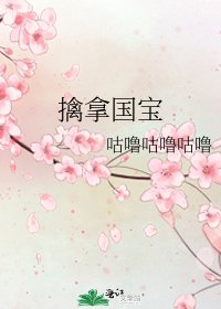 擒拿国宝